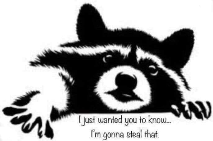 This meme features a cartoon image of a raccoon with a sly expression, often used to express mischief or cunning. The text "I just wanted to know where you live" and "I'm gonna steal that" is often displayed below the raccoon, implying a playful and humorous threat of theft. The meme is often used to jokingly threaten to steal something, usually a joke or a prank.